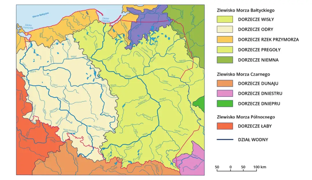Jakie są rzeki w Polsce? Przewodnik po najdłuższych i najczystszych