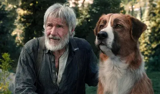 Zew krwi kiedy na Netflix? Sprawdź, czy film jest dostępny teraz