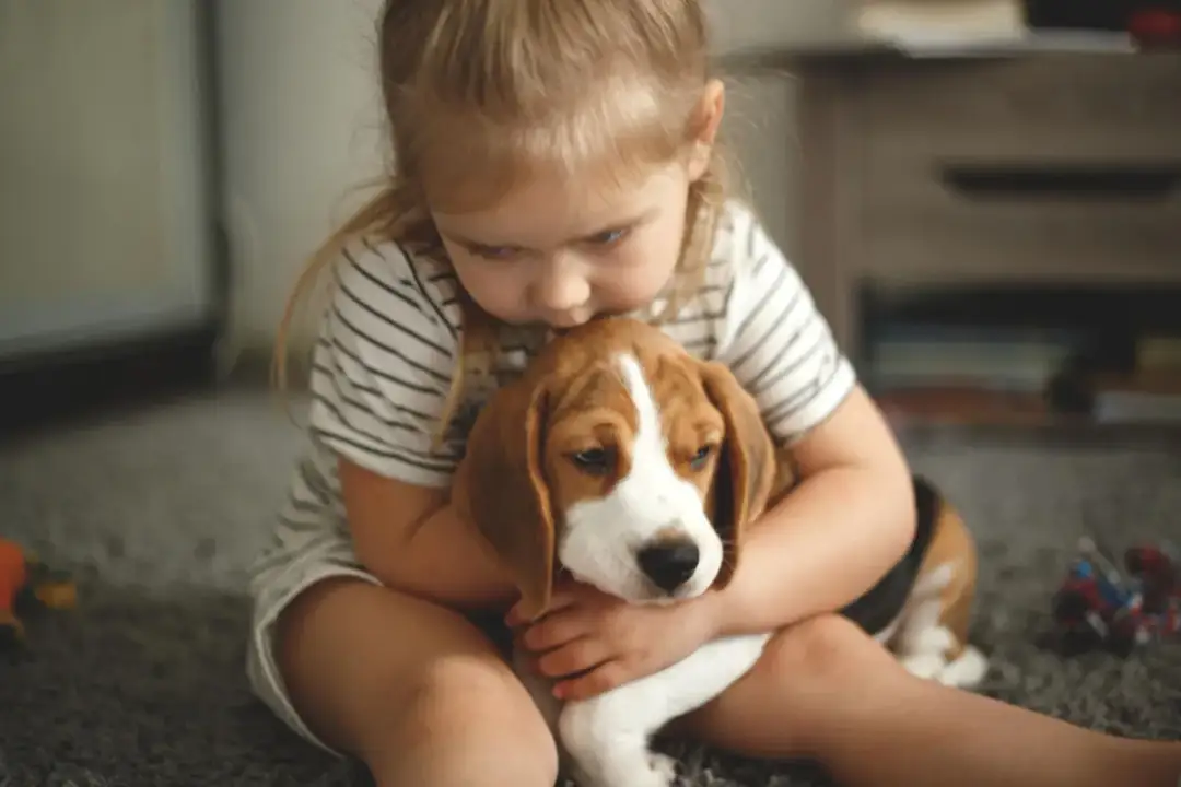 Kiedy zabrać szczeniaka od matki? Sprawdź idealny wiek!