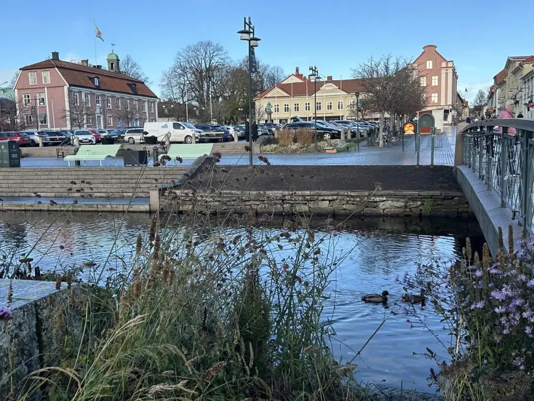 Czy Alingsås to prawdziwy raj dla miłośników szachów? Prawda