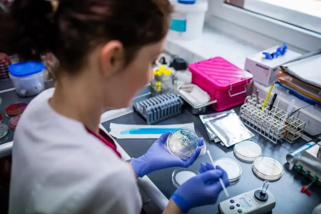 Co robi laboratorium mikrobiologiczne? Niewidzialni strażnicy zdrowia