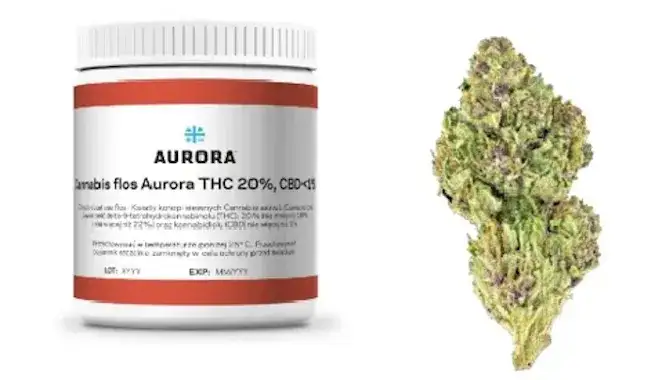 Nadmiar THC – wycofanie shotu konopnego ze sklepów