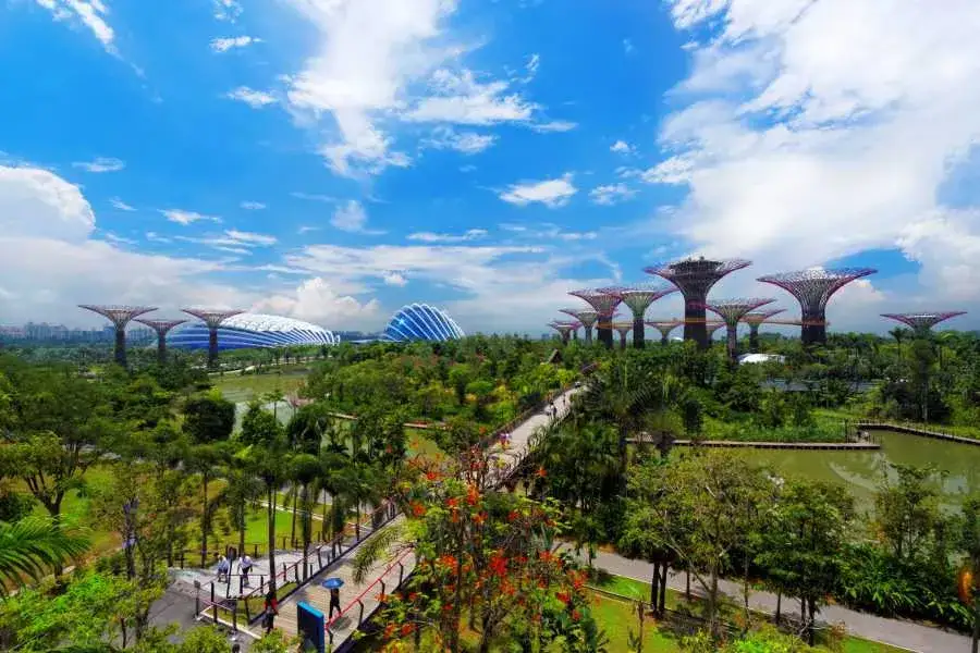 Kiedy jechać do Singapuru? Uniknij deszczu i wybierz najlepszy czas na podróż!