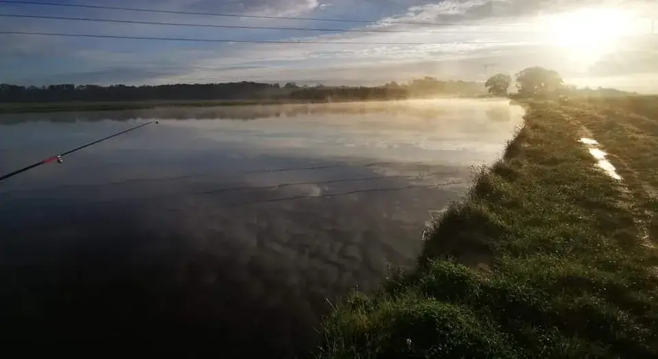 Rogów Legnicki łowisko - idealne miejsce na wędkarskie przygody