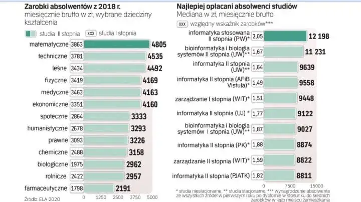 Ile zarabia informatyk po studiach? Zaskakujące różnice w wynagrodzeniach