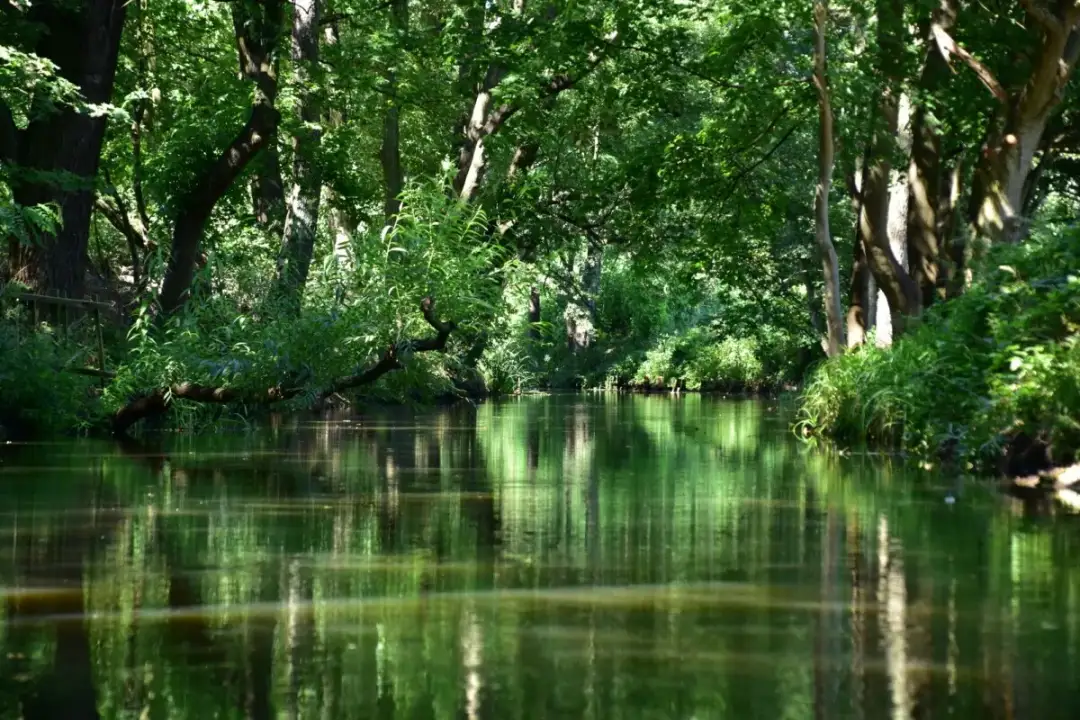 Rezerwaty przyrody w Polsce lista - poznaj najciekawsze miejsca ochrony natury