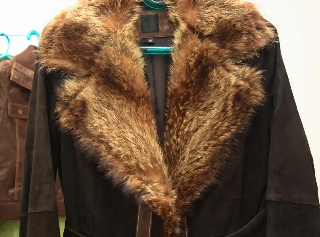 Jak czyścić kożuch naturalny, aby uniknąć jego zniszczenia?