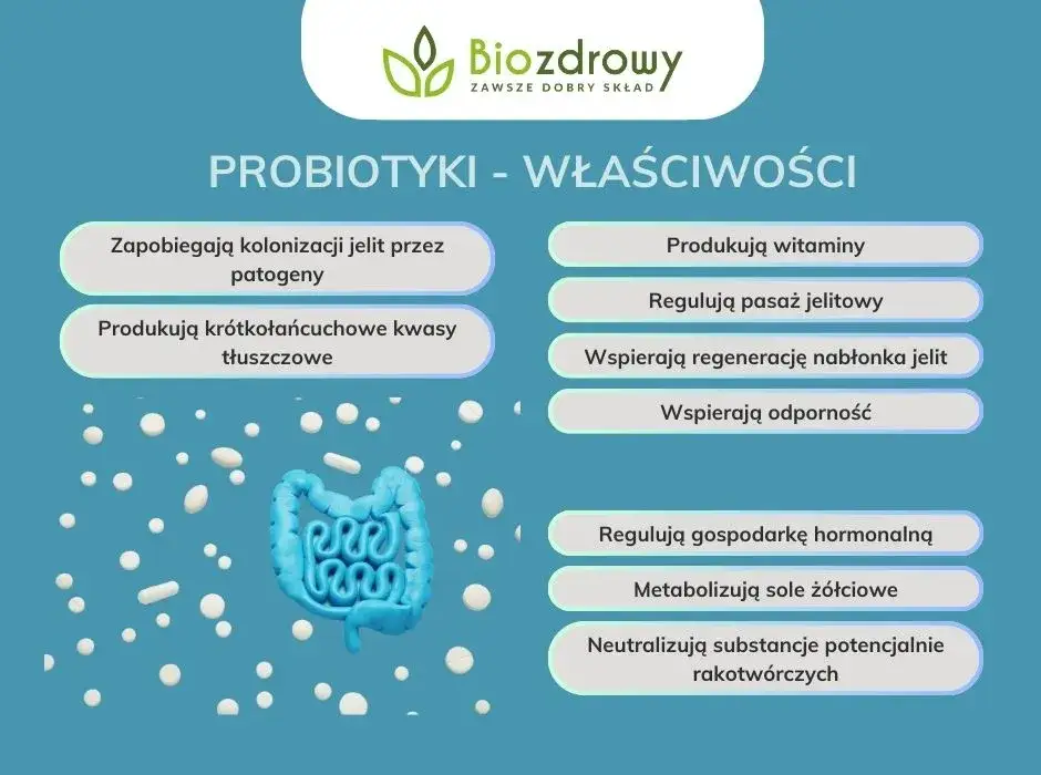 Probiotyki codziennie: czy warto? Bezpieczeństwo i zasady stosowania