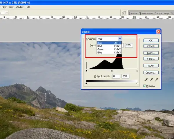 Photoshop CS3: Czy warto korzystać z tej wersji? Alternatywy