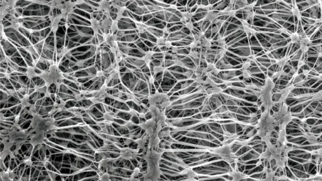 Gore-Tex czy DryVent - Którą membranę wybrać i dlaczego?