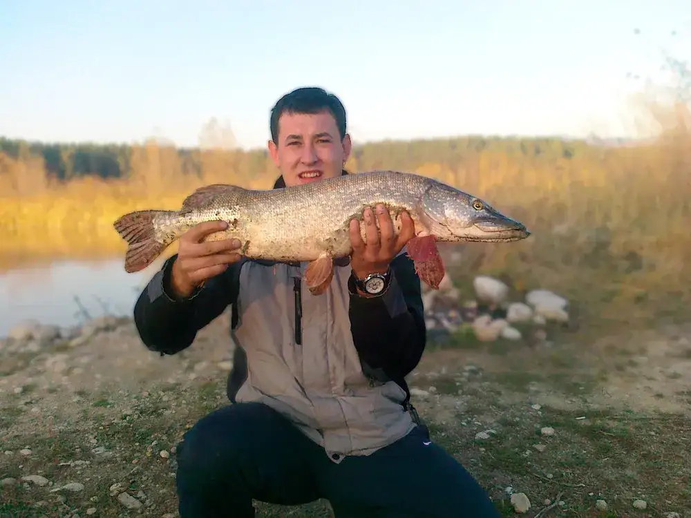 Łowisko Frydman – idealne miejsce na wędkarskie przygody i relaks