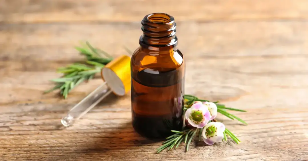 Olejek z drzewa herbacianego: Szkodliwy? 5 zasad bezpiecznego użycia.