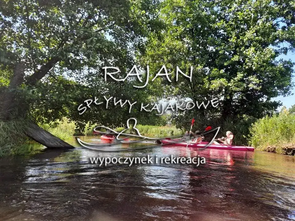 Spływy kajakowe Obrocz: Trasy, Ceny i Przewodnik 2026