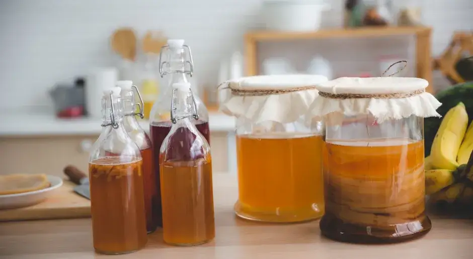 Kombucha czy ma alkohol? Sprawdź, co musisz wiedzieć o jej zawartości