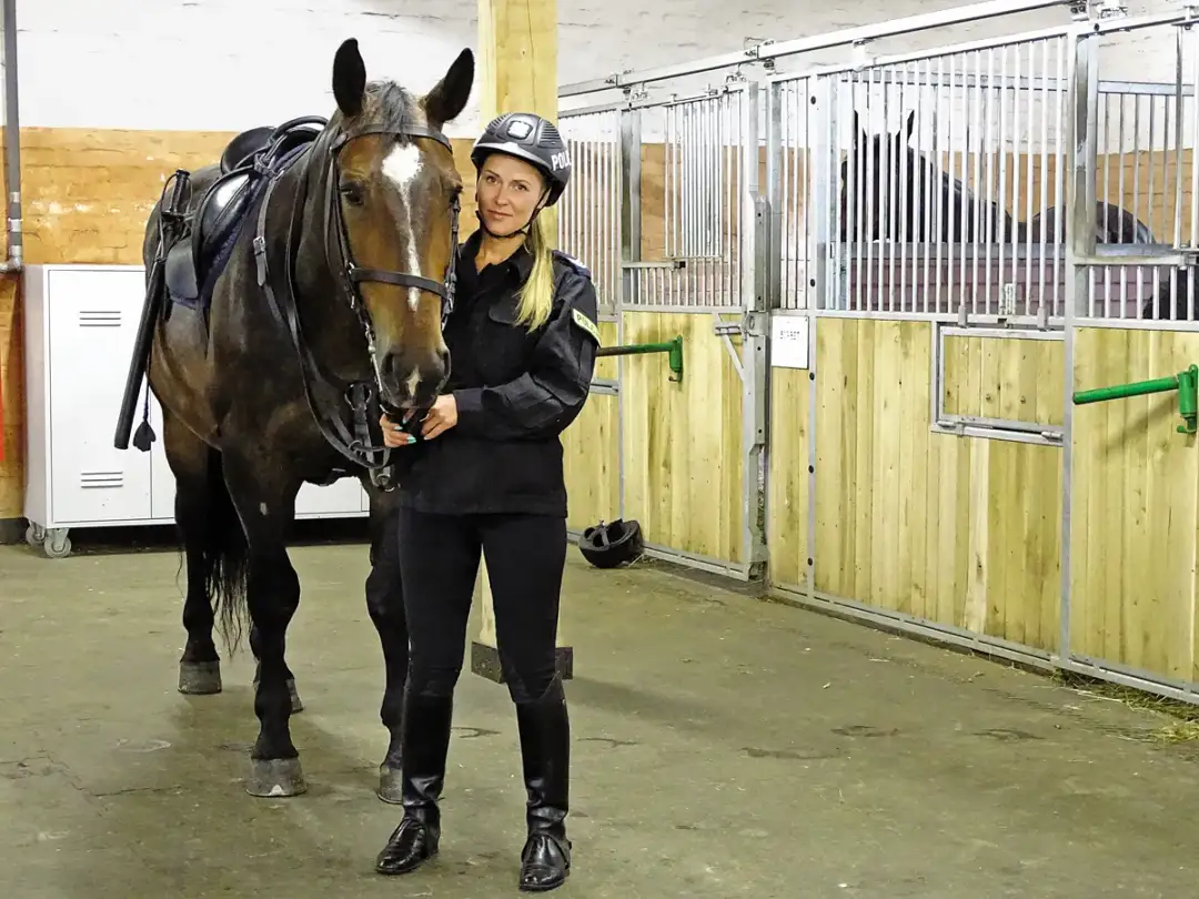 Jak skutecznie dostać się do policji konnej: kompletny proces rekrutacji