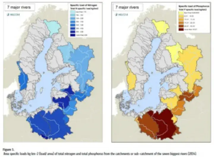 Czy Bałtyk jest czysty? Odkryj prawdę o jakości wody i bezpieczeństwie
