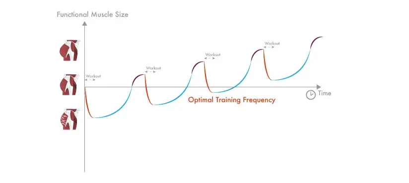 Co ile dni można robić nogi - sprawdzone zasady regeneracji mięśni