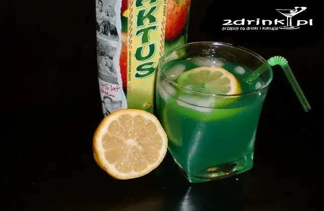 Najlepsze drinki z kaktusem - orzeźwiające przepisy na koktajle