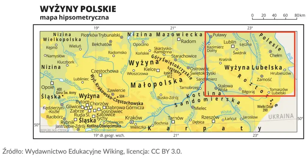 Co uprawia się na wyżynie lubelskiej? Odkryj zaskakujące rośliny