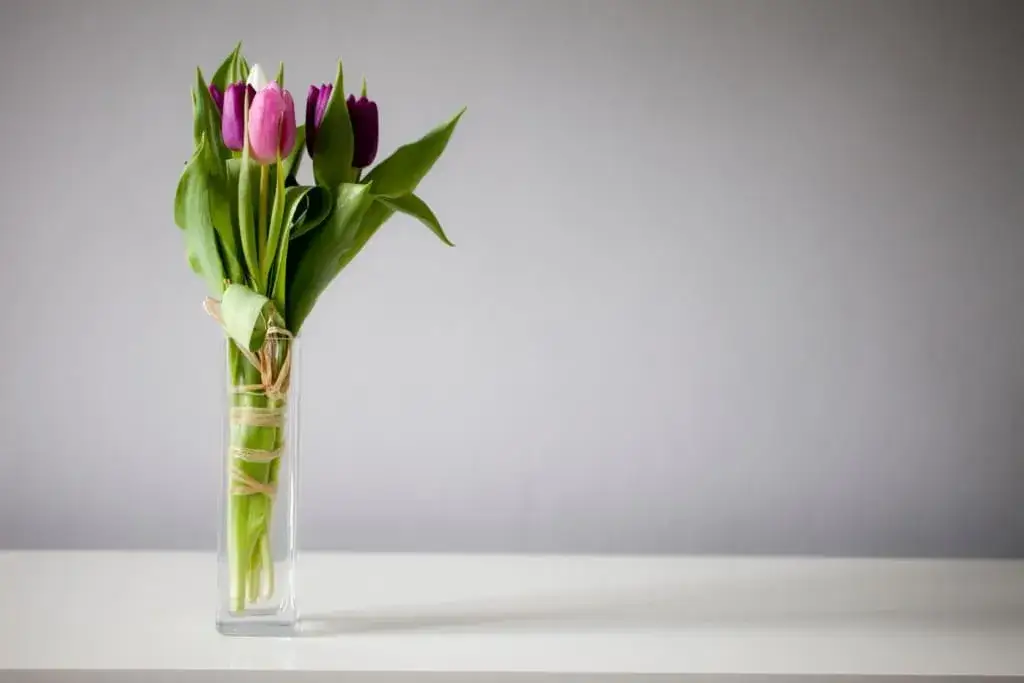 Mądre i wzruszające życzenia imieninowe, których nie usłyszałeś wcześniej