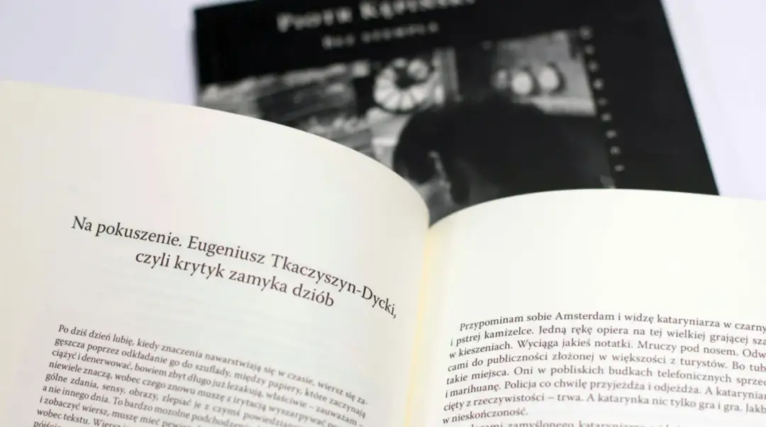 Dlaczego literatura potrzebuje więcej niż język literacki: przełom w tradycji