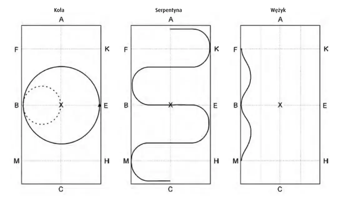 Opanuj figury na ujeżdżalni: Klucz do precyzji i harmonii