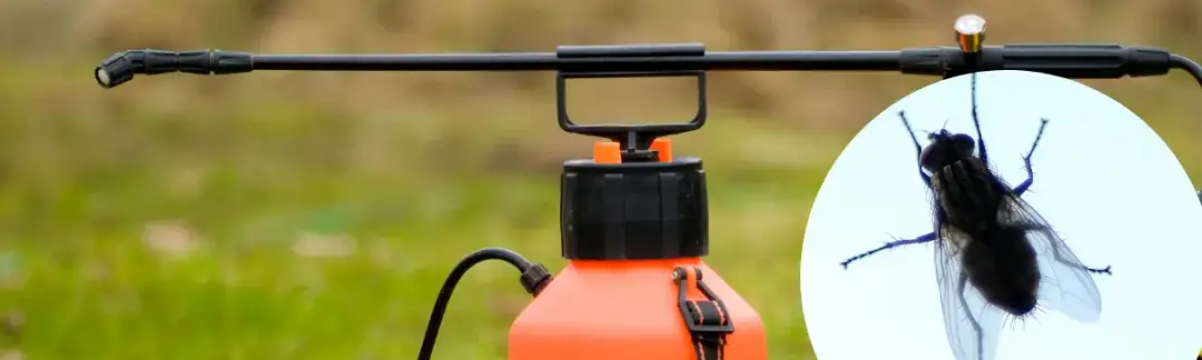 Skuteczne sposoby na odstraszenie much z elewacji budynku