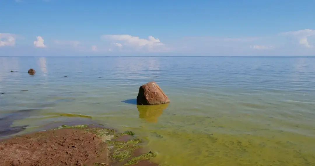 Dlaczego Bałtyk jest zanieczyszczony? Przyczyny i skutki dla ekosystemu