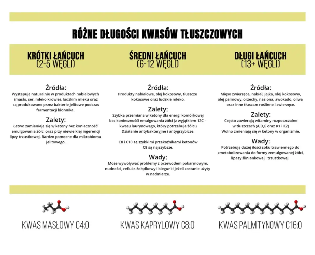 Krótkołańcuchowe kwasy tłuszczowe: 5 korzyści dla zdrowia