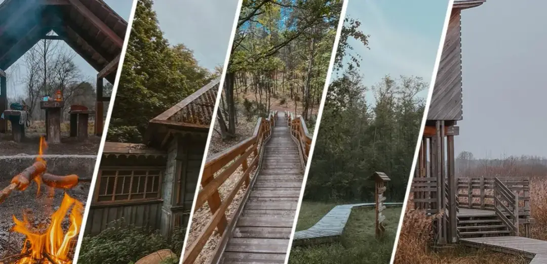 Najlepsze atrakcje w Kampinoskim Parku Narodowym, które musisz poznać