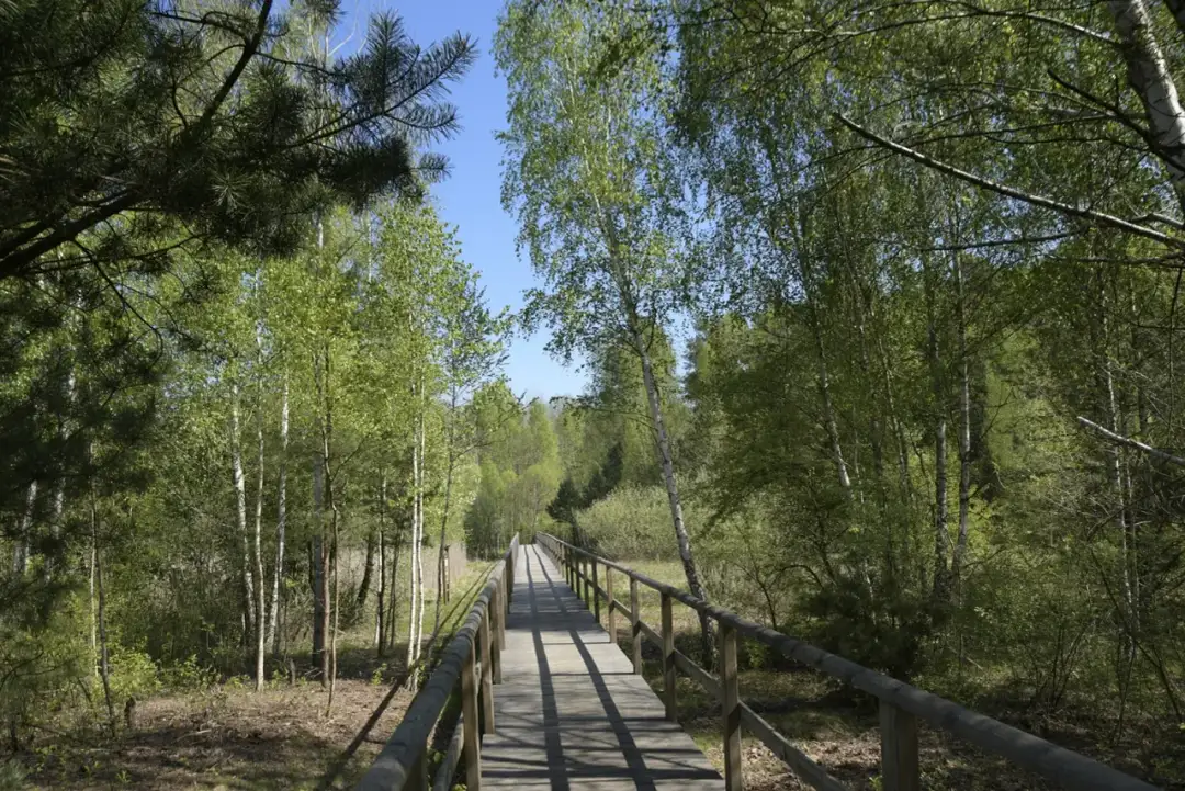 Rezerwat Przyrody Jata - unikalne miejsca i tajemnice natury