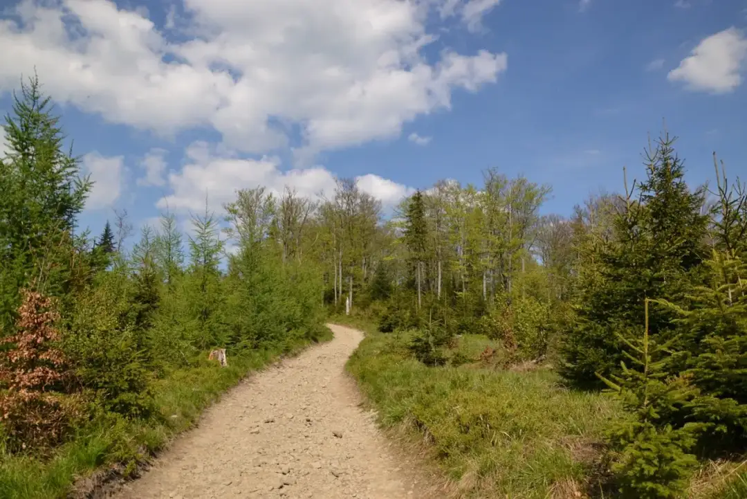 Szyndzielnia PTTK: Dojazd, noclegi, szlaki Pełny przewodnik