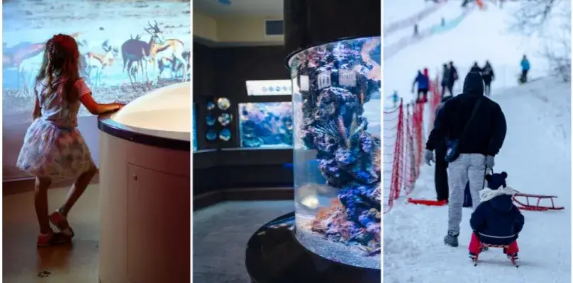 Atrakcje zimą dla dzieci: 10 niezapomnianych przygód w Trójmieście