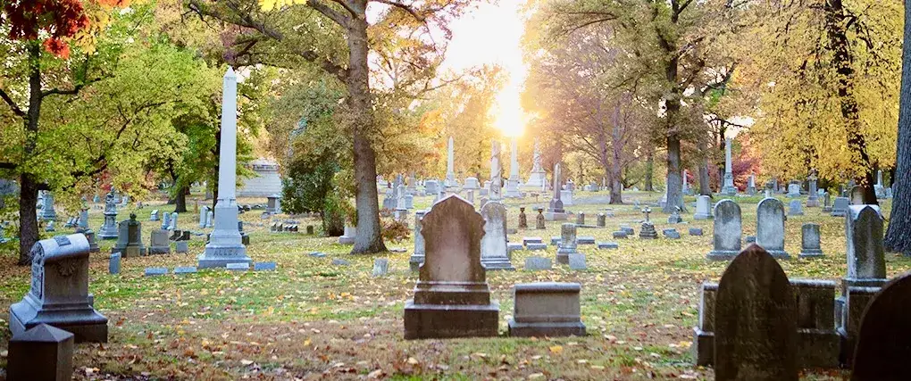 Kto zarządza cmentarzem komunalnym? Prawda, która zaskakuje mieszkańców