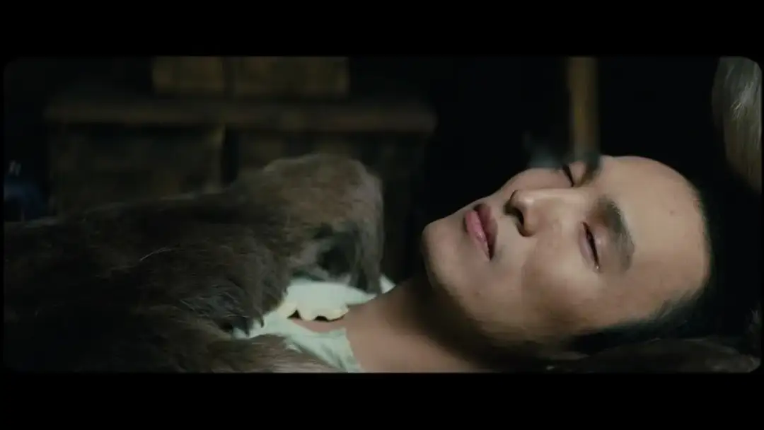 Aga film: Wnikliwa recenzja i głęboka analiza fabuły oraz postaci