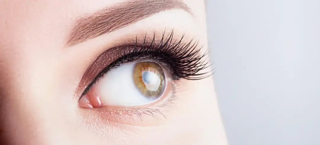 Henna rzęs: Czy niszczy włoski? Rozwiewam Twoje obawy!