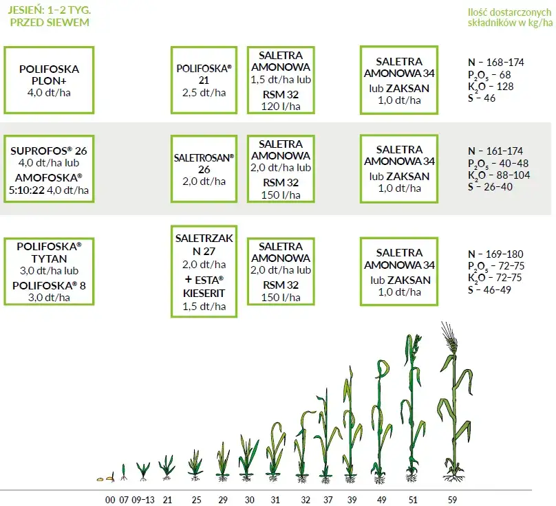 Jaki nawóz pod żyto ozime? Odkryj najlepsze metody nawożenia