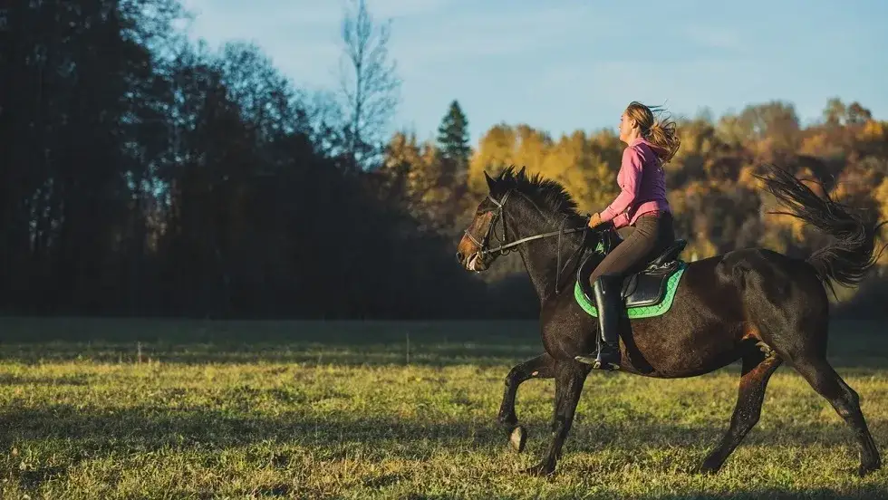 Czy można jeździć konno podczas okresu? Oto, co warto wiedzieć