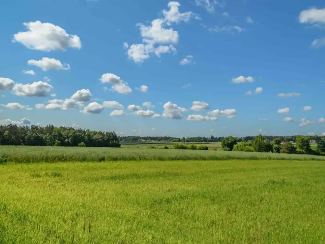 Co można postawić na działce rolnej bez zgłoszenia? Oto kluczowe informacje