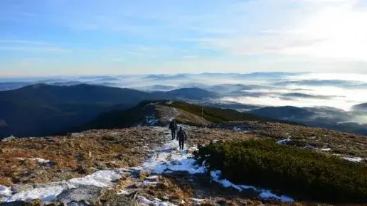Dlaczego warto odwiedzić Zawoję? 5 atrakcji, które Cię przekonają!