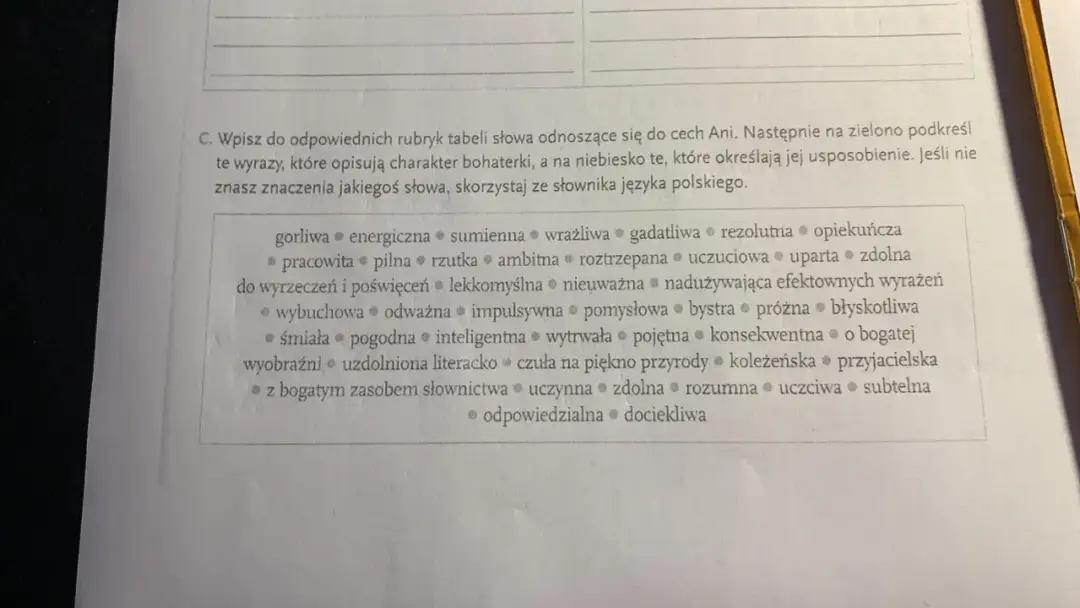 Ania Shirley: Charakterystyka. Dlaczego wciąż inspiruje?