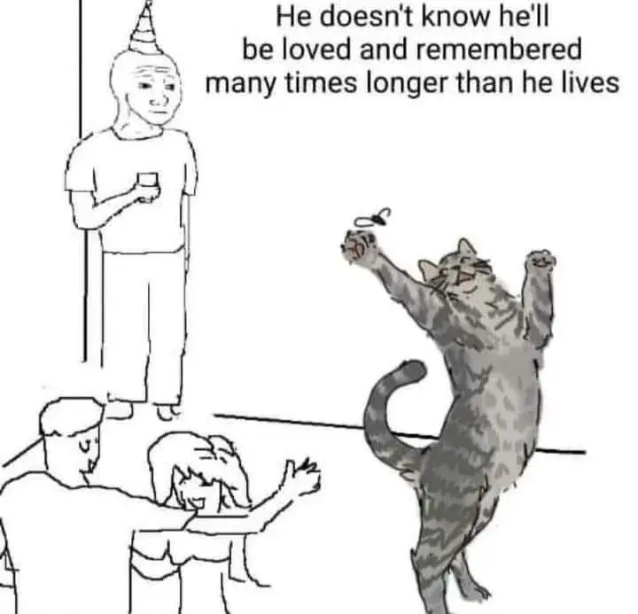 Szymborska: "Kot w pustym mieszkaniu" prawdziwe "kocie niebo"