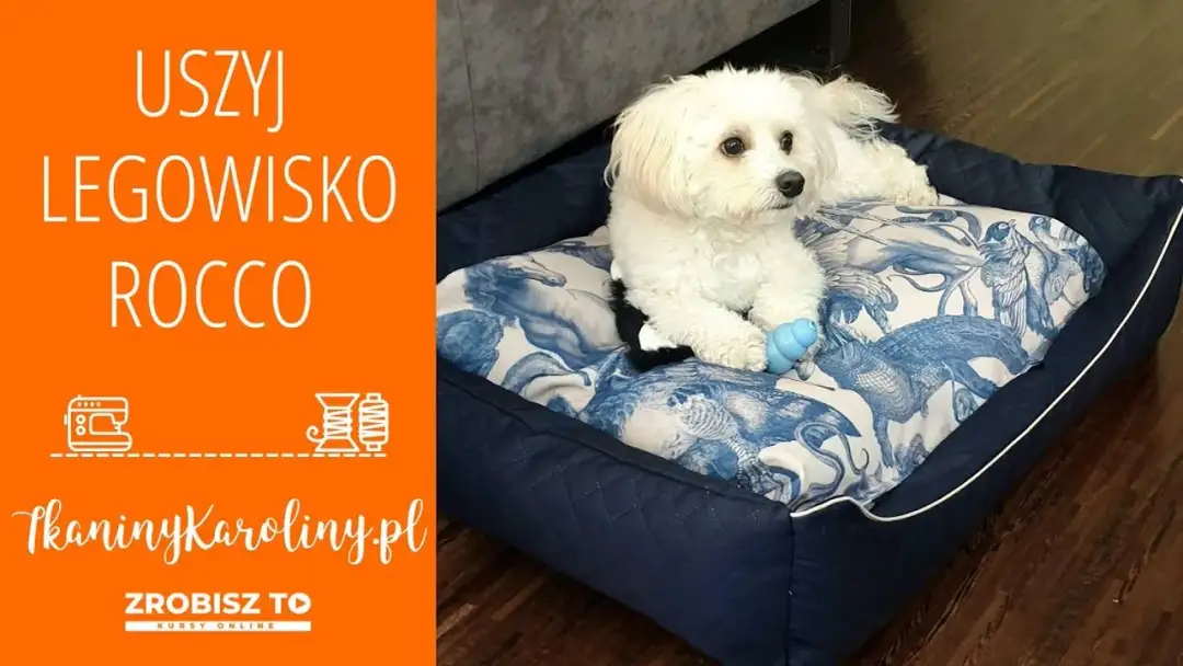 Samodzielne legowisko dla psa z poduszki? Prosty poradnik DIY!