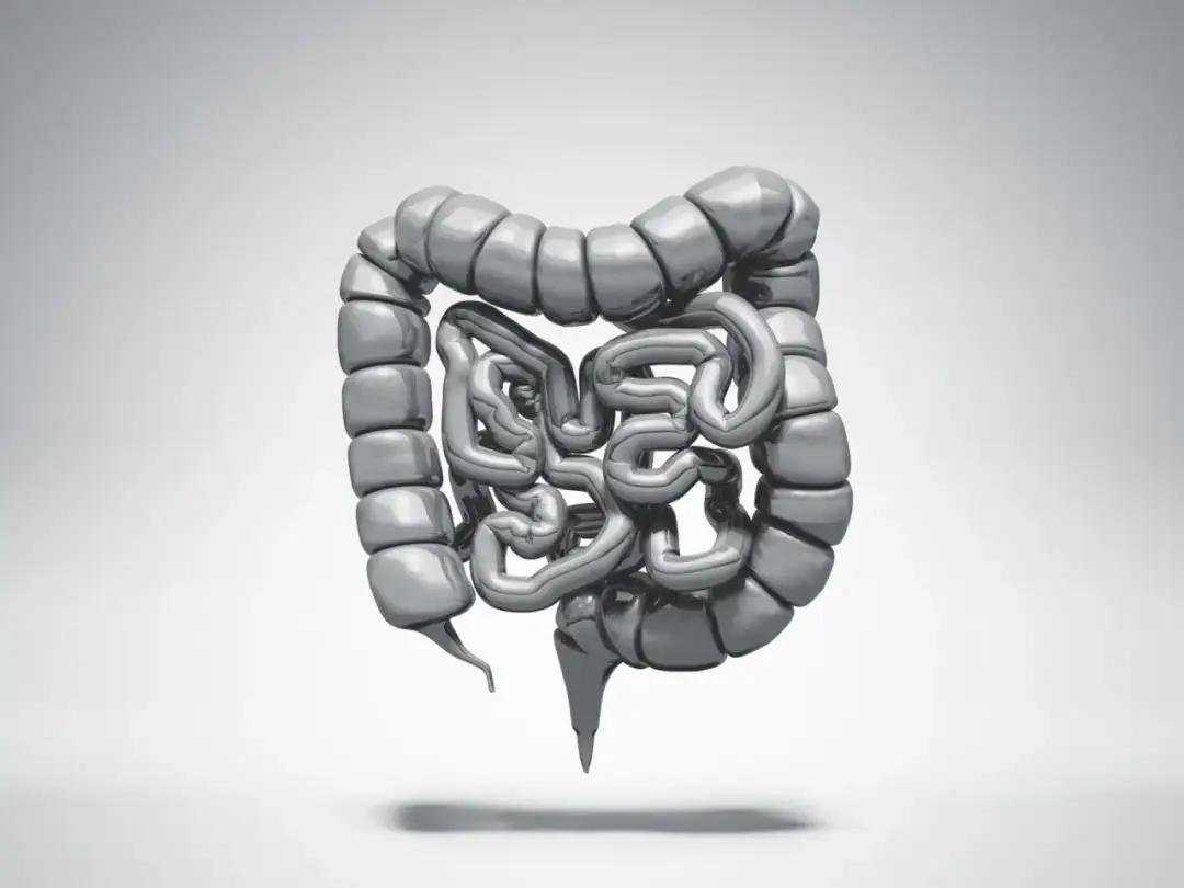 Zastawka Bauhina objawy: Jak rozpoznać problemy i uniknąć bólu