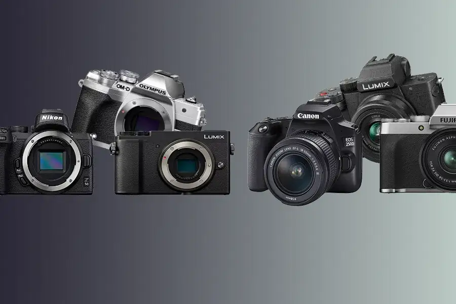 Jaka lustrzanka dla początkującego fotografa - najlepsze modele i porady