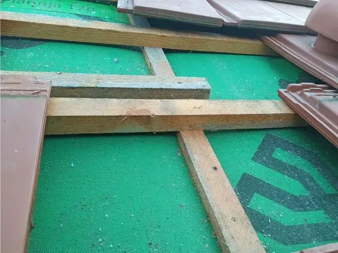 Jakie gwoździe do kontrłat wybrać, aby uniknąć problemów z montażem?