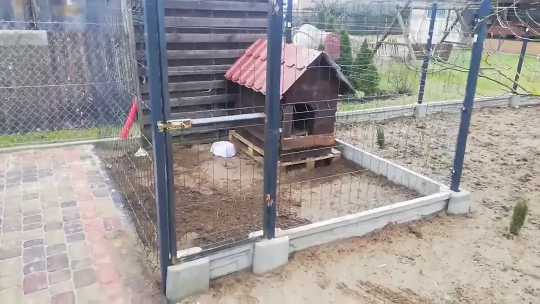 Kojec dla psa DIY: Zbuduj tanio i solidnie krok po kroku!