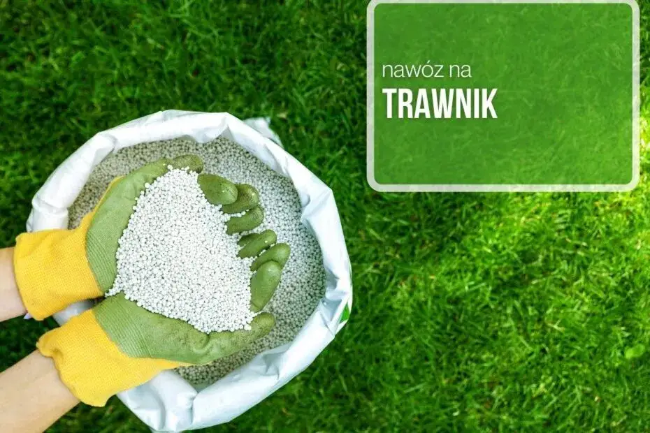 Ile nawozu na m2 trawnika? Odkryj sekrety zdrowego trawnika