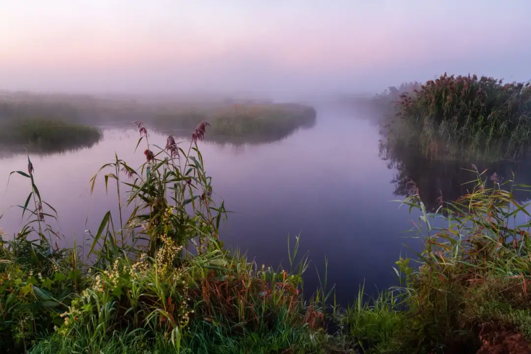 Narew: Miasta, historia i sekrety Polskiej Amazonii