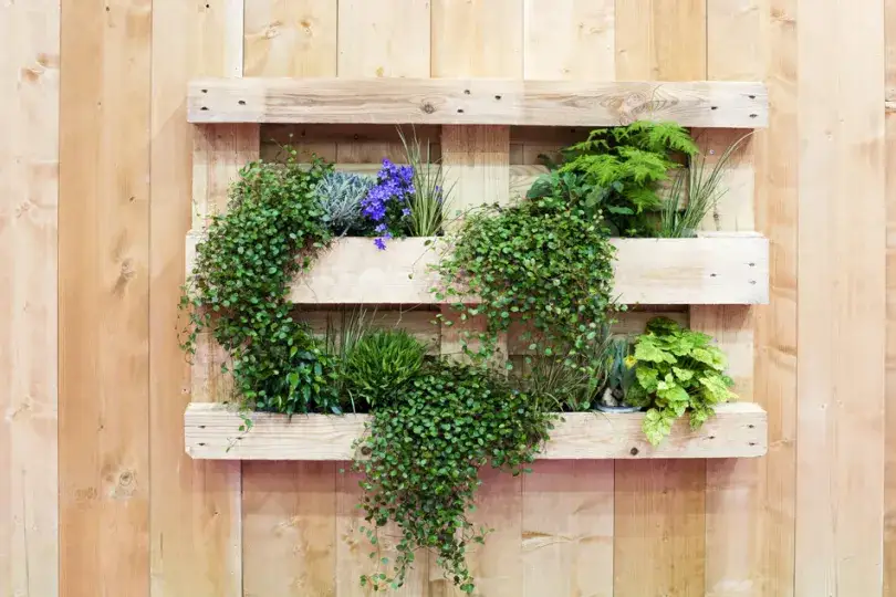 Jak stworzyć kwietnik drewniany drabinkę – prosty projekt DIY krok po kroku